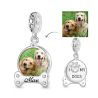 Gnoce Colgante con foto de accesorios para perros y mascotas grabables