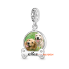Gnoce Colgante con foto de accesorios para perros y mascotas grabables